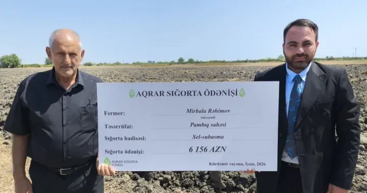 145 manat ödədi, dolu vurdu, 6 156 manat aldı Pambıq fermerinə SIĞORTA ÖDƏNİŞİ