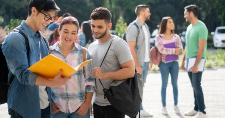 Turizm ixtisasları üzrə proqramların 30% i yenilənəcək