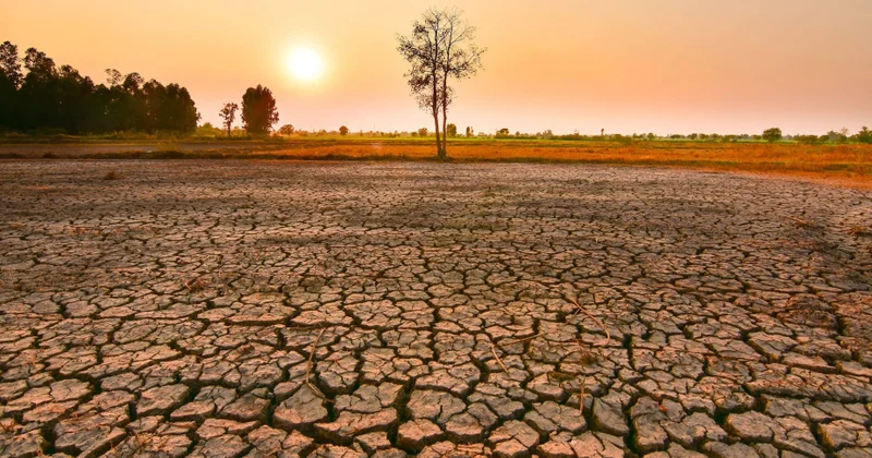 NOAA: El Nino hadisəsinin rekord həddə çatma ehtimalı yüksəkdir