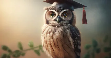 Psixoloqlar müdrik olmağın nə demək olduğunu izah ediblər...