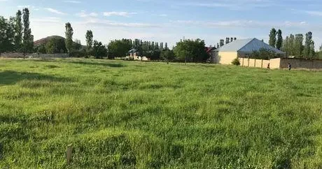 Bu rayonlarda bələdiyyə torpaqları hərraca çıxarılır