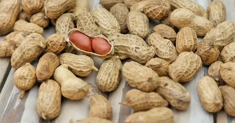 Yerfındığı ilə bağlı araşdırmaya 162 min manat ödəniləcək