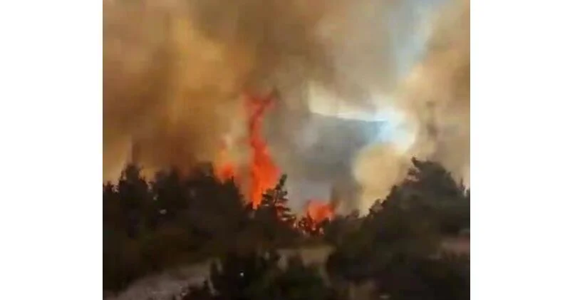 Во Франции бушует сильный лесной пожар ВИДЕО