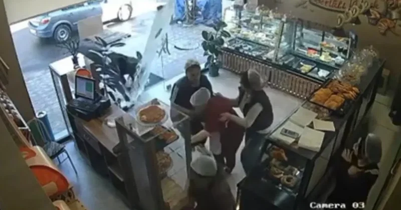 Буйвол устроил погром в Гяндже ВИДЕО