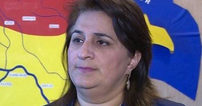 Havalar bu tarixdən isinəcək Gülşad Məmmədovadan AÇIQLAMA