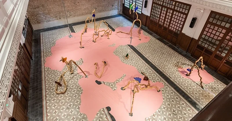 “Üç Ayaqlı Pişik” adlı 18 ci İstanbul Biennalesi başlandı