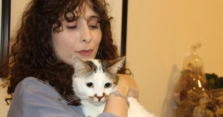 Şəhərini dəyişön pişik dəliyə döndü: Paşa ya depressiya diaqnozu qoyulur