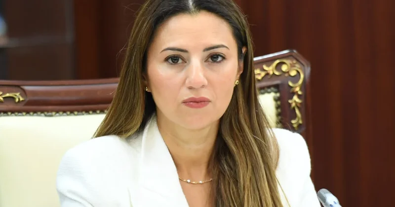 Suverenliyin bərpasından Qarabağın yeni reallığına ŞƏRH