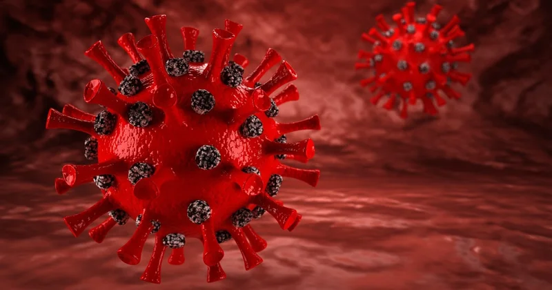 Koronavirus indi də qrip kimi YAYILIR?