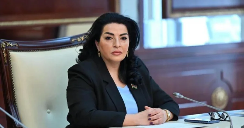 Mühüm enerji və nəqliyyat dəhlizləri TDT ölkələrinin imkanlarını daha da genişləndirir Millət vəkili