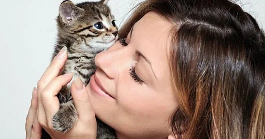 Dünyada ən çox pişik saxlayan ailələr bu ölkələrdədir SİYAHI