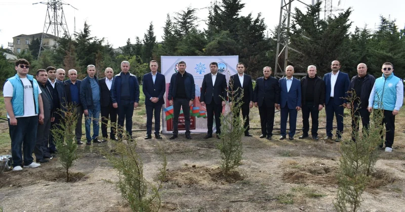 Yasamalda genişmiqyaslı ağacəkmə aksiyası keçirilib FOTOLAR