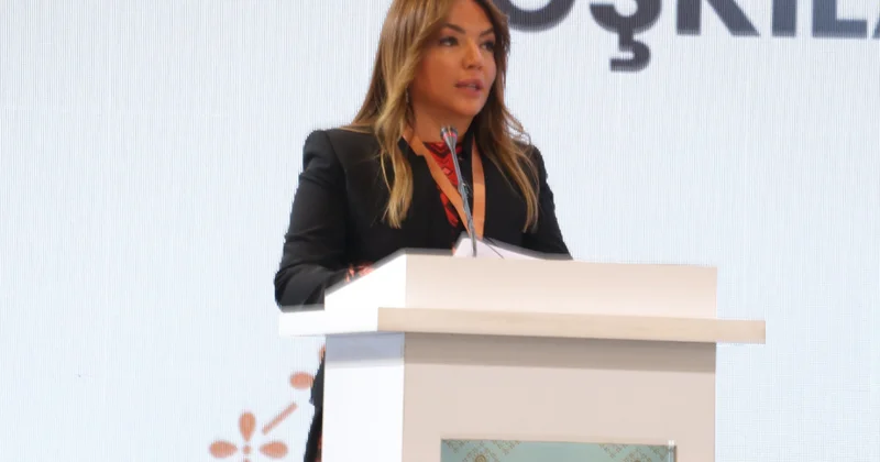 Aygün Əliyeva: Qərbi Azərbaycanlıların Qayıdış Konsepsiyası ilə bağlı 100 dən çox layihə maliyyələşdirilib
