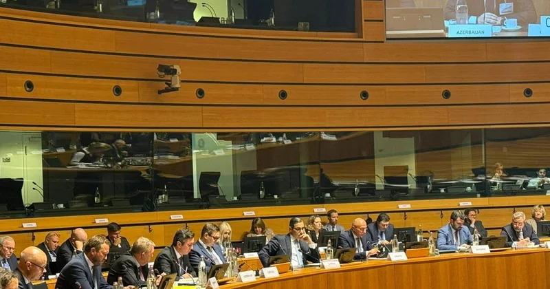 Рафиев представил позицию Азербайджана на форуме ЕС Minval Politika