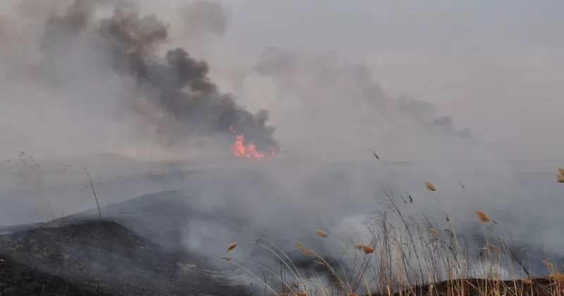 В Россию принесло гарь из Казахстана подробности