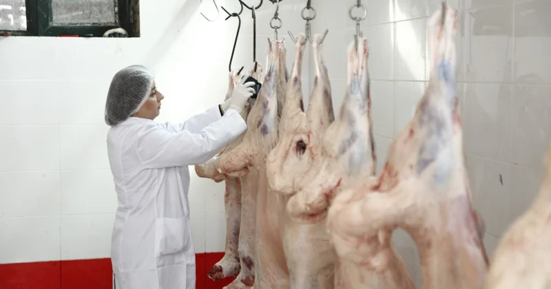 Ətin bişirilmə temperaturu virusların məhv olmasını təmin edir