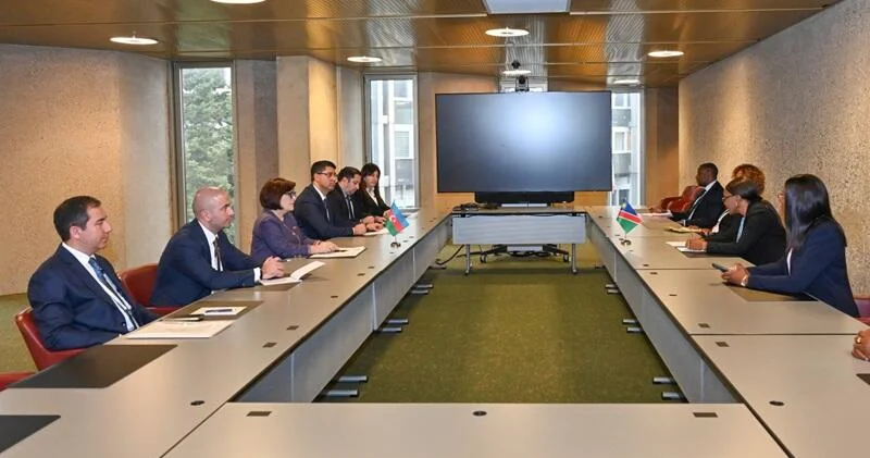 Sahibə Qafarova Cenevrədə Namibiya və Bosniya və Herseqovinanın parlament sədrləri ilə görüşüb FOTO