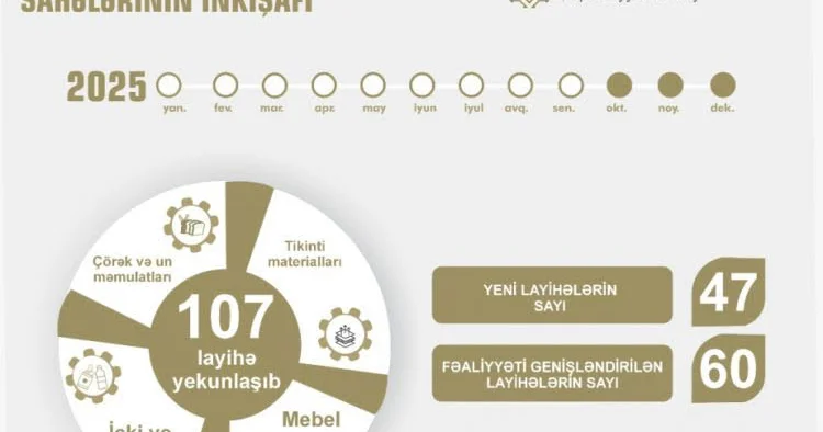 Naxçıvanda 9 ayda 107 istehsal və xidmət sahəsi fəaliyyətə başlayıb