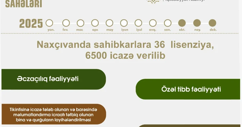 İlin əvvəlindən bəri muxtar respublikada sahibkarlara 36 lisenziya verilib