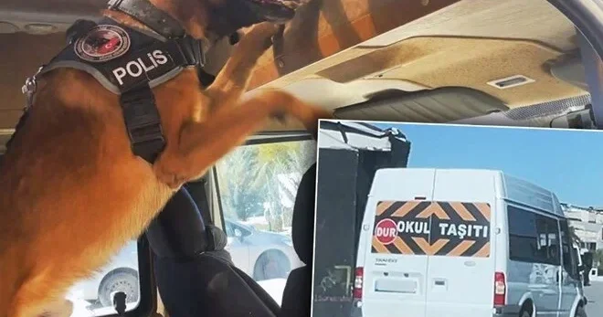 Məktəb servisində 35 kiloqram narkotik tapıldı
