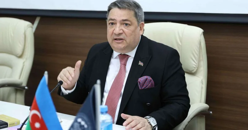 Ramiz Mehdiyevin kitablarını onlar yazırdılar Professor
