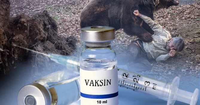 Rayonlarda quduzluğa qarşı vaksin ehtiyatı varmı? RƏSMİ AÇIQLAMA
