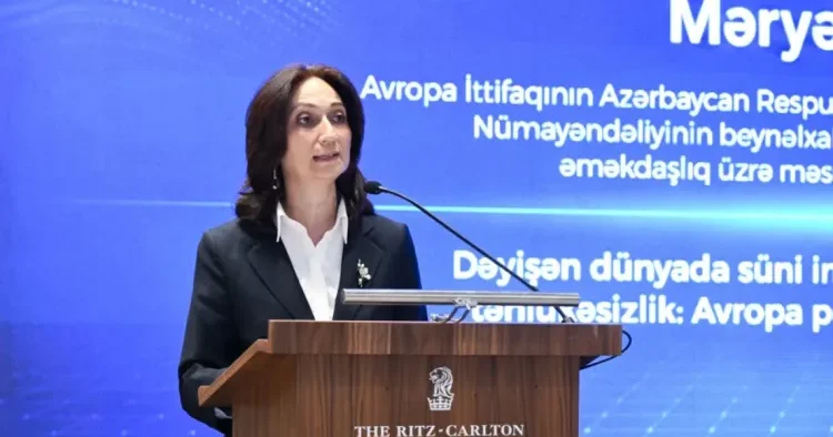 Süni intellektlə sistemlərin zəif nöqtələrini müəyyən edə bilərlər Aİ nin təmsilçisi