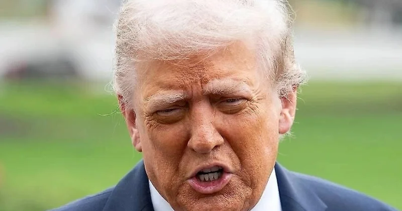 Не хочу их содержать : Трамп прошелся по Канаде, Мексике и Европе