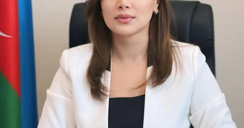 PREZİDENT İLHAM ƏLİYEVİN BEYNƏLXALQ SİYASƏTİNİN STRATEJİ PRİORİTETLƏRİ ŞƏRH