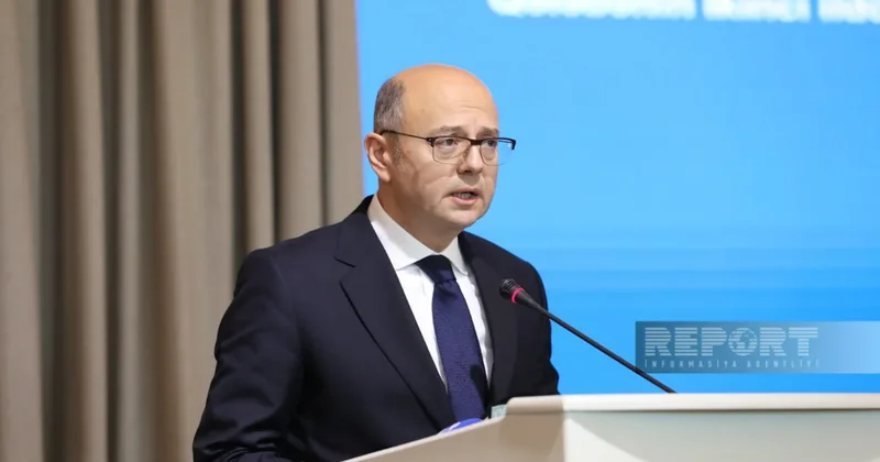 Министр: Международные проекты ускорят превращение Нахчывана в Зону зеленой энергии