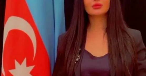İlham Əliyevin çıxışı kontekstində AQEM in VII Zirvə Görüşü ŞƏRH