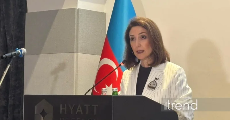 Названы перспективные направления сотрудничества Азербайджана и Венгрии