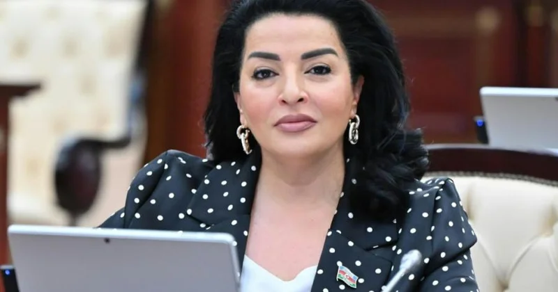 “Ağıllı kənd” modeli bu istiqamətdə həyata keçirilən işlərin uğurlu nümunəsidir Millət vəkili
