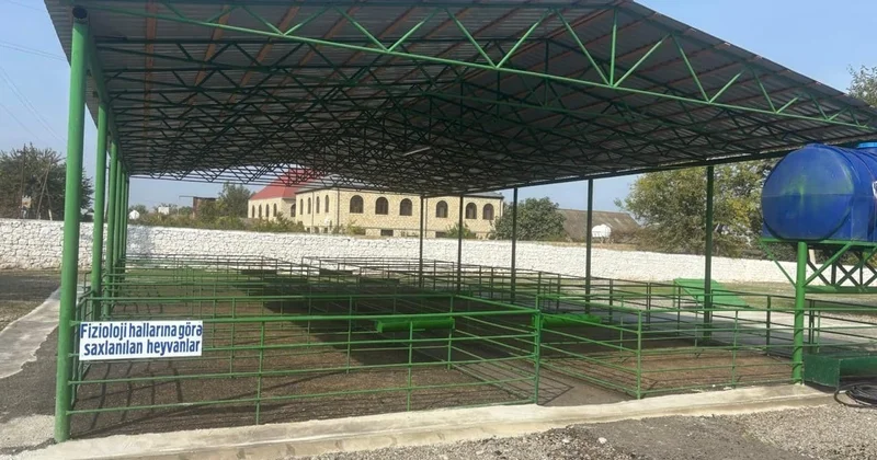 Şəmkirdə yeni heyvan satışı bazarı fəaliyyətə başladı