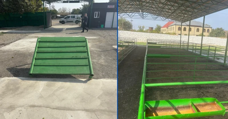 Новый животноводческий рынок в Шамкире Количество действующих в стране рынков по продаже животных достигло 23
