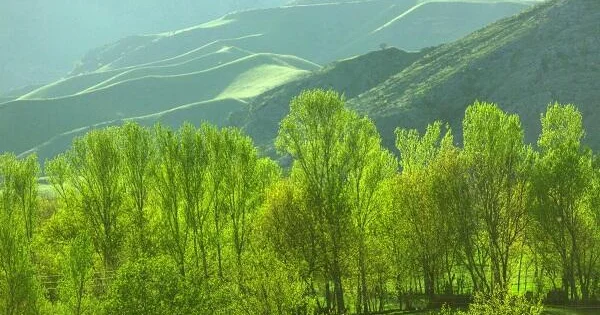 Mincivan qəsəbəsinin azad olunmasından 6 il ötür
