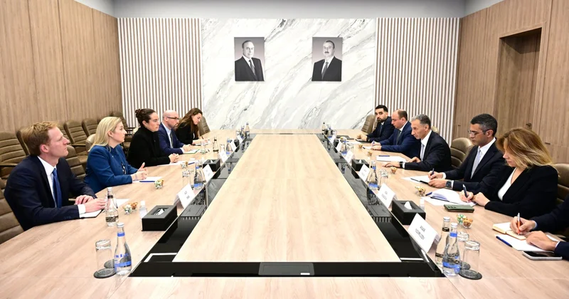 Nazir ABŞ Beynəlxalq İnkişaf Maliyyə Korporasiyasının baş siyasət direktoru ilə görüşüb FOTO