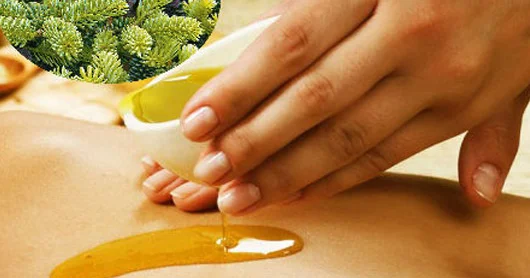 Osteoxondrozu müalicə edən YAĞ