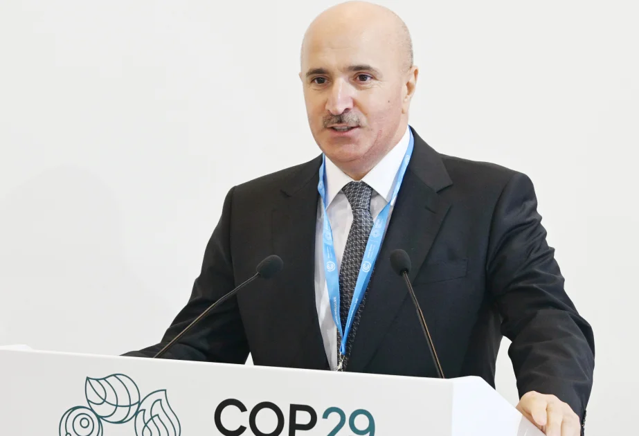 COP29 çərçivəsində “Gələcəyə səfər: dayanıqlı sabah üçün dənizçilikdə dekarbonizasiya” mövzusunda müzakirələr aparılıb AZƏRTAC