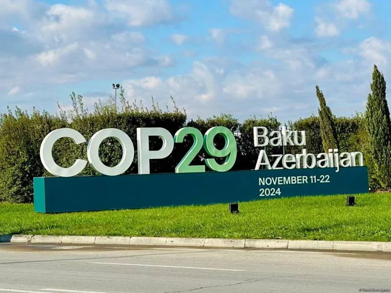 COP29un Türkiyə pavilyonunda Azərbaycala müzakirələr olub