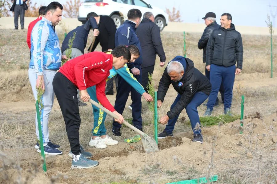 Tovuzda ağacəkmə aksiyası keçirildi