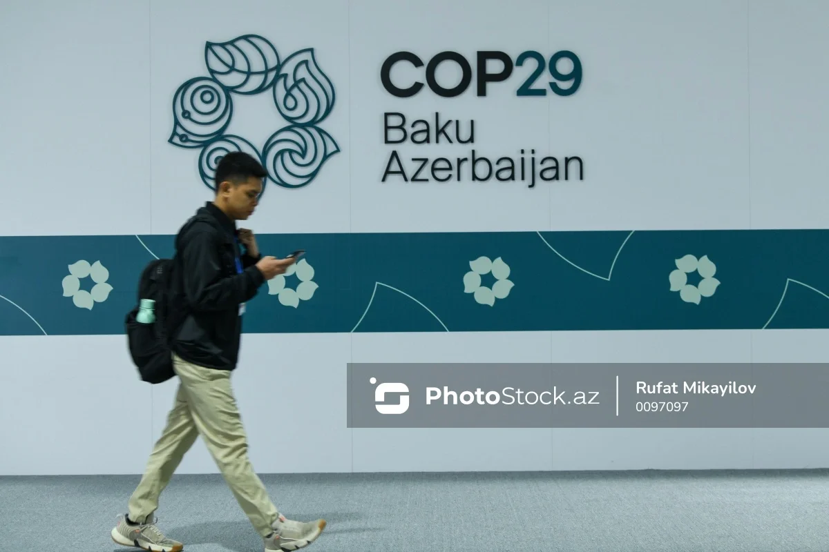 COP29un 10cu günündə gündəmdə olan müzakirələr