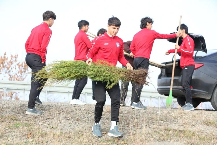 Turan Tovuzun təşkilaçılığı ilə ağacəkmə aksiyası keçirildi FOTOLAR