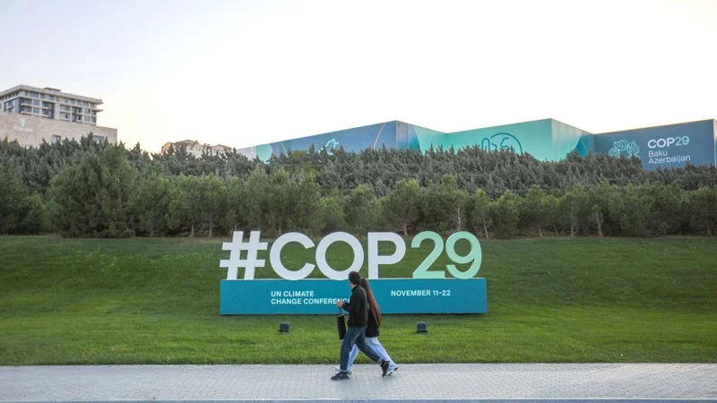 Reuters COP29dan yazıb