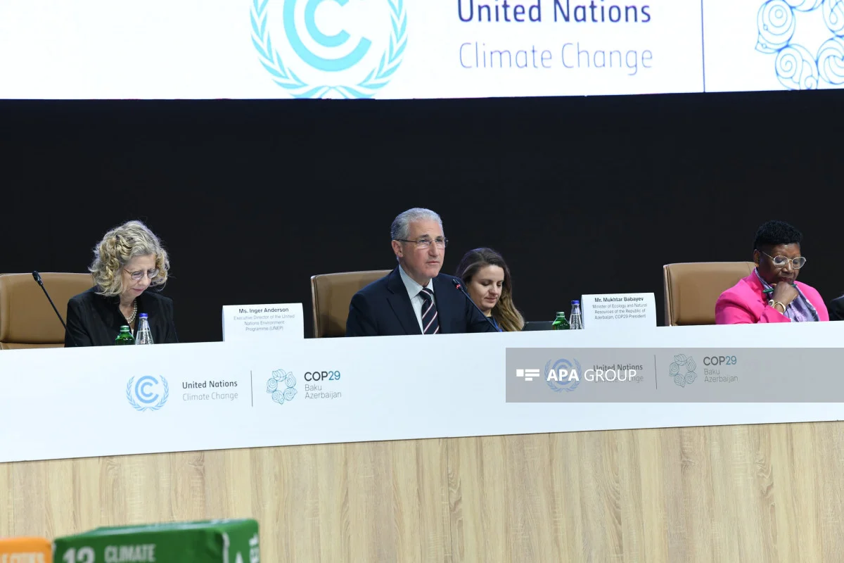 UNEP: Karbon emissiyaları 2030cu ilə kimi 41% azaldılmalıdır