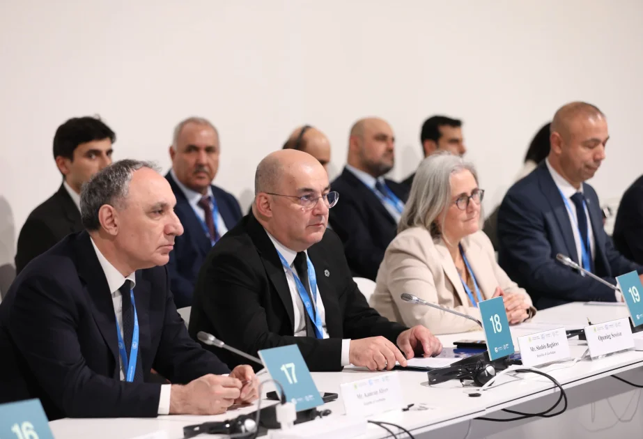 COP29da aparıcı gömrük rəsmilərinin dialoqu olub AZƏRTAC