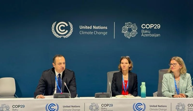 COP29 Sədr müavini İqlim mühakiməsi üzrə məhkəmə perspektivlərindən danışdı