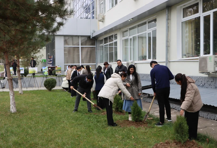 Daşkənddə COP29a həsr olunmuş ağacəkmə aksiyası keçirilib AZƏRTAC