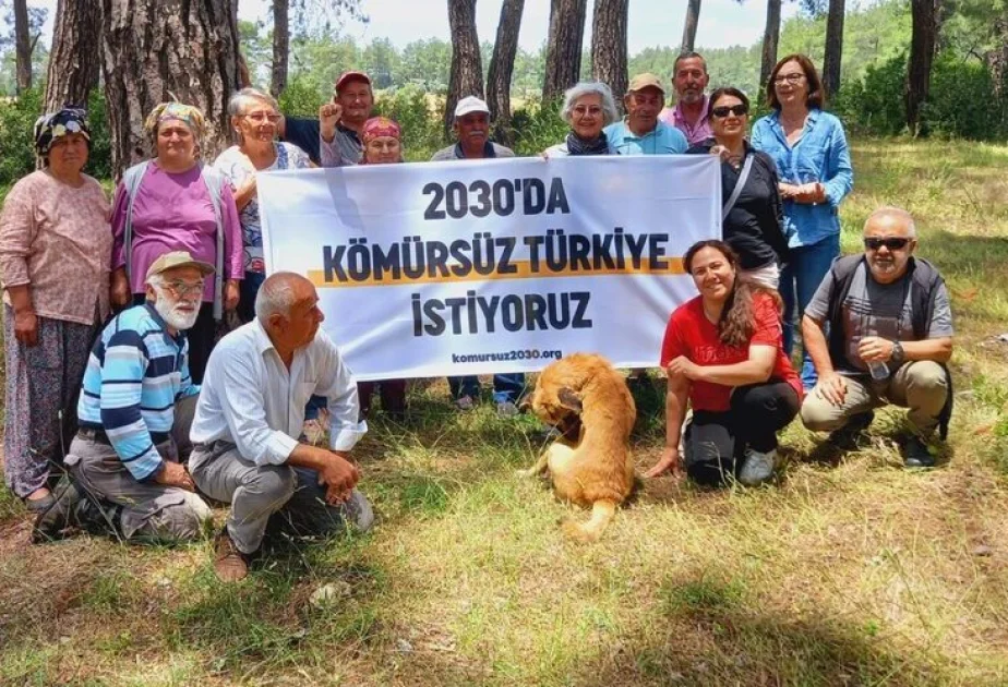 İqlim fəalları COP29 çərçivəsində Türkiyəni kömürdən imtina etməyə çağırıblar AZƏRTAC