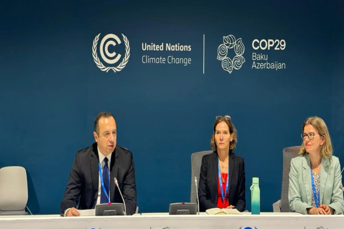 COP29da ekoloji hüquq sahəsində məhkəmə təcrübəsi ilə bağlı panel